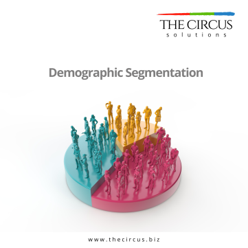 Demographic segmentation