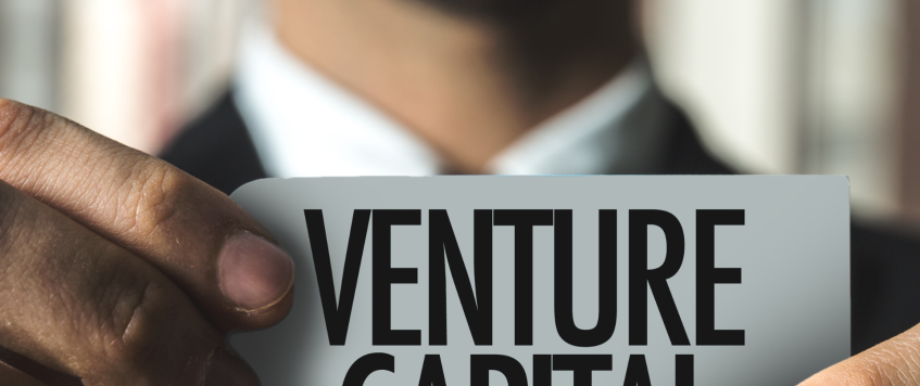 Who is a venture capitalist and their role?