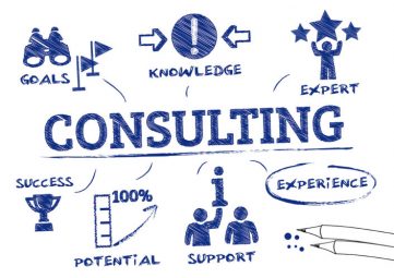 Why are business consultants crucial for a successful business venture?